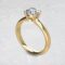 round-solitaire-small-cathedral-moissanite-engagement-ring-gold-sarlyn