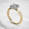 princess-cut-solitaire-moissanite-florid-halo-engagement-ring-yellow-gold-sarlyn