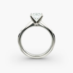 princess-cut-1.0ct-solitaire-moissanite-engagement-white-gold-ring-sarlyn-5