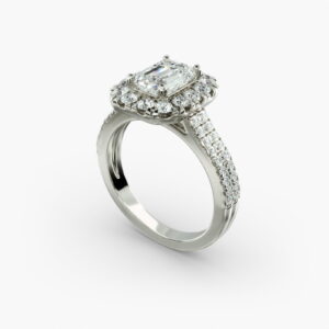 emerald-cut-1.0ct-cathedral-halo-moissanite-white-gold-engagement-ring-sarlyn-3