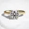 cathedral-setting-round-cut-2ct-hidden-halo-engagement-ring-1