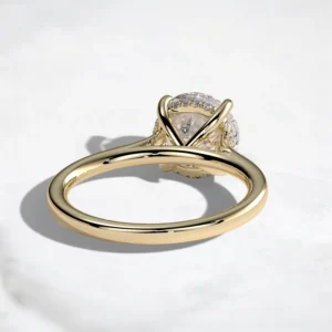 cathedral-setting-round-cut-2ct-hidden-halo-engagement-ring-2