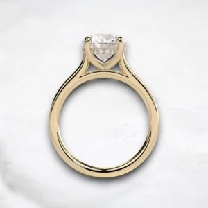 cathedral-setting-round-cut-2ct-hidden-halo-engagement-ring-4