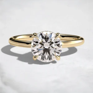 hidden-halo-1ct-round-cut-cathedral-low-setting-engagement-ring-1