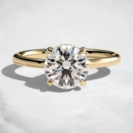 hidden-halo-1ct-round-cut-cathedral-low-setting-engagement-ring-1