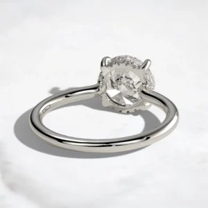 hidden-halo-1ct-round-cut-cathedral-low-setting-engagement-ring-10