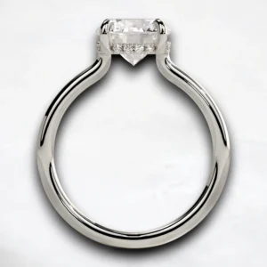 hidden-halo-1ct-round-cut-cathedral-low-setting-engagement-ring-12