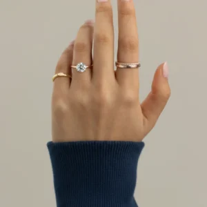 hidden-halo-1ct-round-cut-cathedral-low-setting-engagement-ring-14