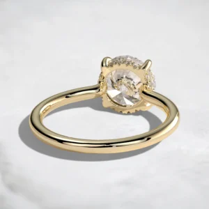 hidden-halo-1ct-round-cut-cathedral-low-setting-engagement-ring-2