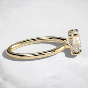 hidden-halo-1ct-round-cut-cathedral-low-setting-engagement-ring-3