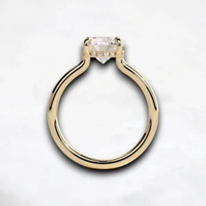 hidden-halo-1ct-round-cut-cathedral-low-setting-engagement-ring-4