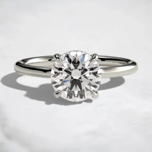 hidden-halo-1ct-round-cut-cathedral-low-setting-engagement-ring-9